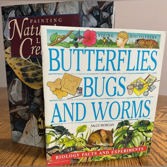 Painting Nature’s Little Creatures & Butterflies, Bugs & Worms BOOKS set - Picture 3 of 13
